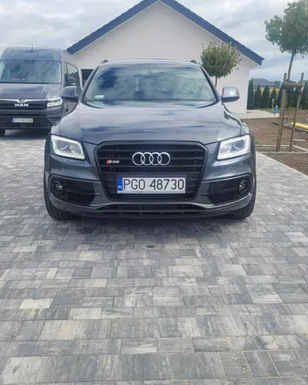 audi sq5 szczebrzeszyn Audi SQ5 cena 89999 przebieg: 175376, rok produkcji 2014 z Szczebrzeszyn